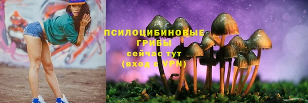 герыч Надым