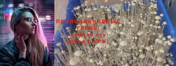 эйфоретик Навашино