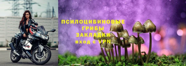 трава Нефтегорск
