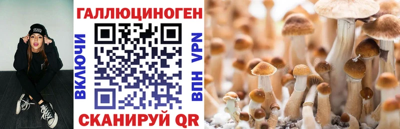 Галлюциногенные грибы мицелий  где продают   Минусинск 
