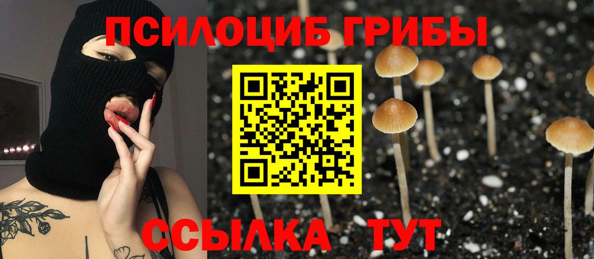 Псилоцибиновые грибы ЛСД Минусинск