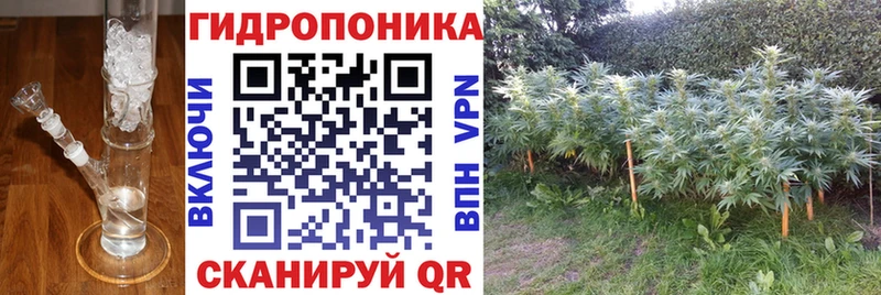 продажа наркотиков  Минусинск  Канабис OG Kush 